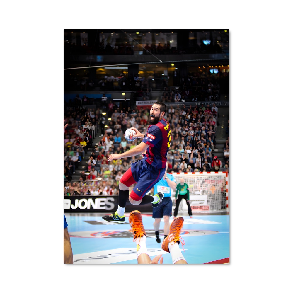 Poster Ehf league